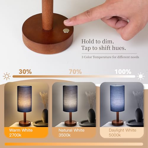 Cordless Table Lamp