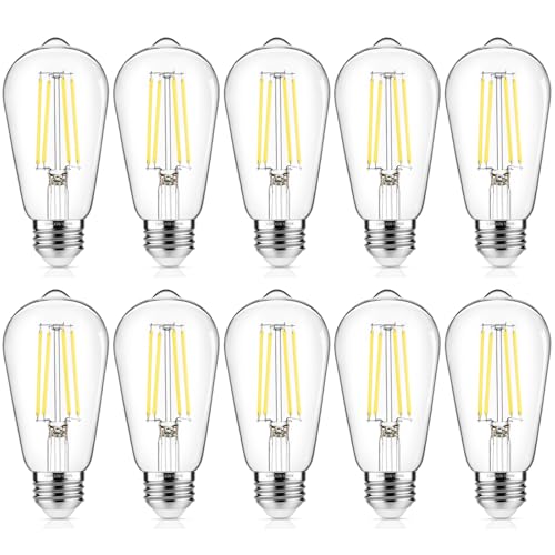 10 Pack Vintage Edison Bulbs 60W Equivalent (10 Count)