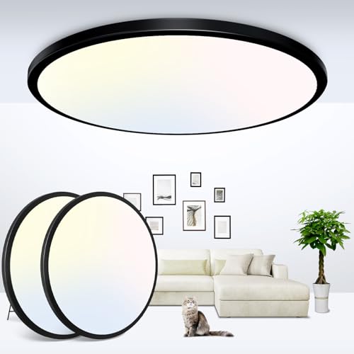 12 Inch Black Ceiling Light (2 Count)