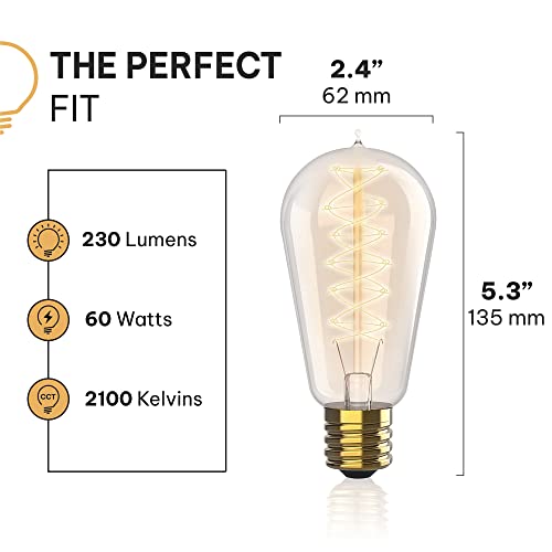 Vintage Incandescent Edison Light Bulbs (4 Count)