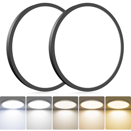 2Pack LED Flush Mount Ceiling Light Fixture