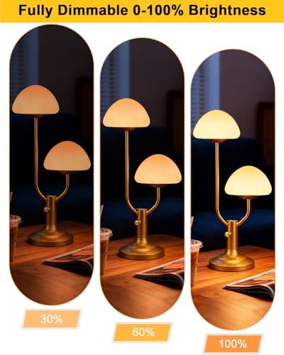 Modern Globe Table Lamp for Bedroom Dimmable Round Ball Lamp