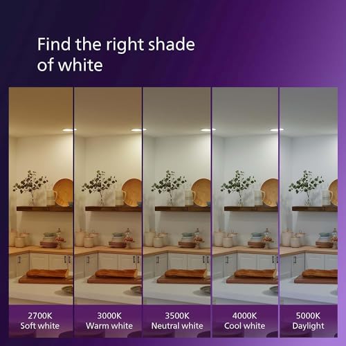 LED 40W A19 4 (4 Count)