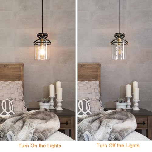 Modern Black and Gold Plug in Hanging Lamp