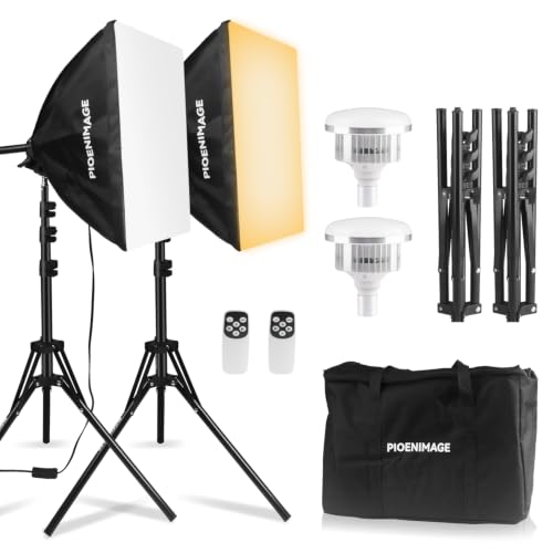 Softbox Lighting Kit (2 Count)