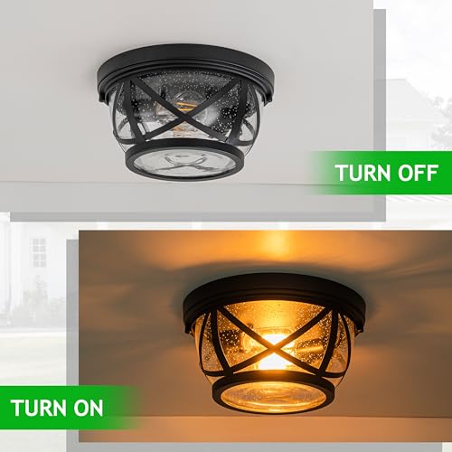 Flush Mount Ceiling Light Fixture Black