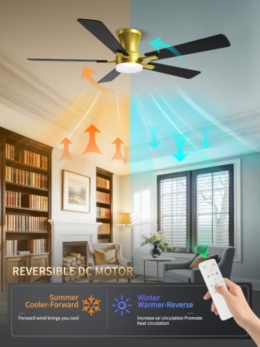 52 Inch Black Gold Low Profile Ceiling Fan with Light and Remote (Gold Black / 52 Inch)