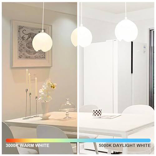 14W 1500LM Dimmable LED Light Bulbs 100 Watt Equivalent Bright A19 LED Bulbs with E26 Medium Base Daylight White 5000K CRI 90+ for Home Office Bedroom Kitchen (10 Count)