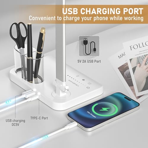 LED Desk Lamp for Home Office Desk Light Table Lamp 50 Lighting Modes Timer
