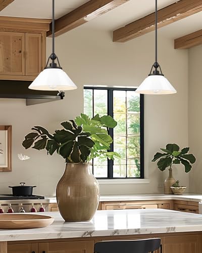 White Pendant Light Fixture