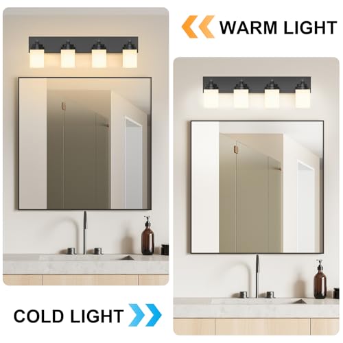 Bathroom Vanity Light Fixture