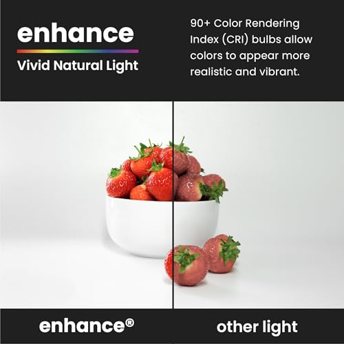 A19 LED Light Bulbs (8 Count)