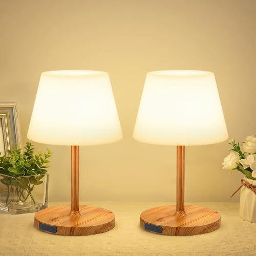 2 Pack Shower Lamp Waterproof (2 Count)