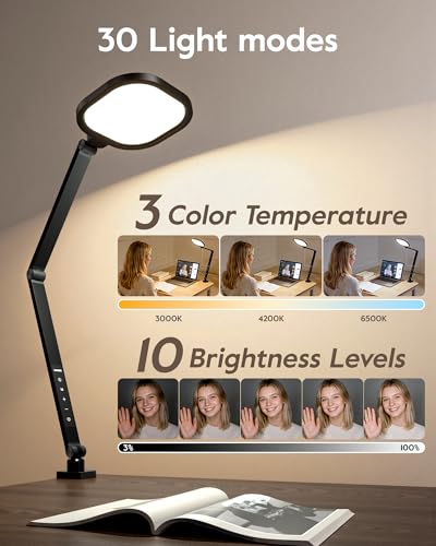Desk Lamp for Home Office with Clamp