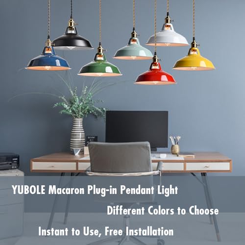 Industrial Plug in Pendant Light