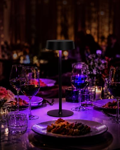 Rechargeable Table Lamp (2 Count)