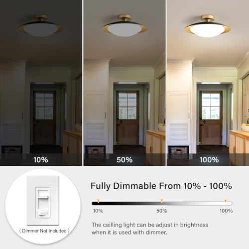 Dimmable Modern Mid