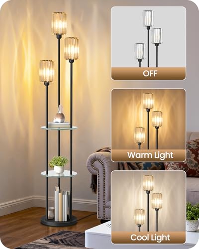 Black Floor Lamp with Shelves