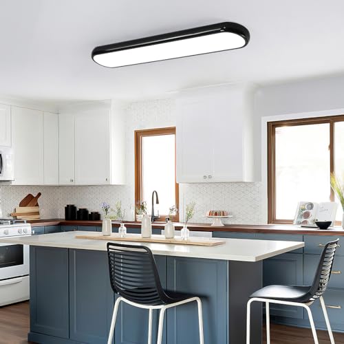 Modern LED Ceiling Light