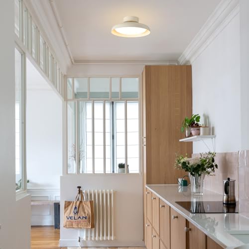 Modern LED Ceiling Light