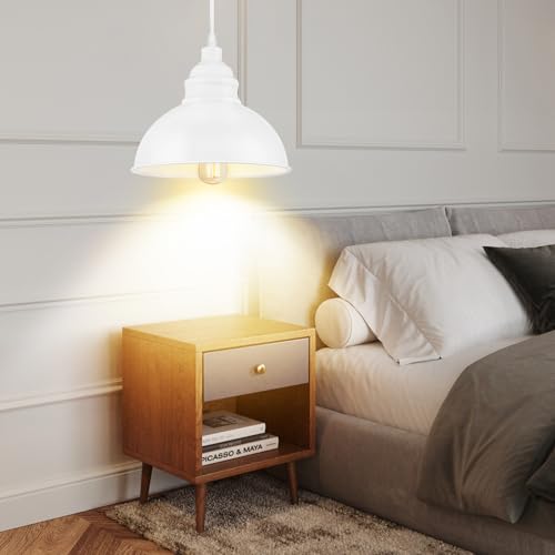 Plug in Pendant Light