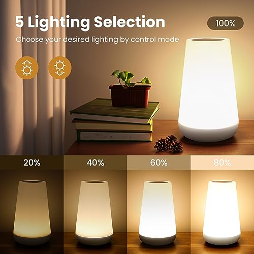 Telecontrol Night Light Touch Lamp
