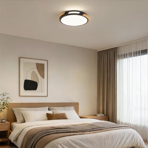 Modern LED Ceiling Light