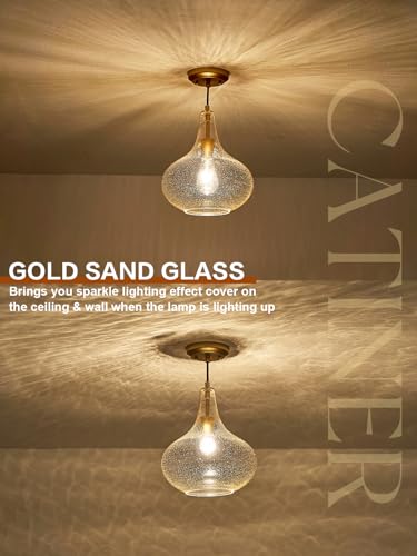 11" Gold Seeded Glass Pendant Light