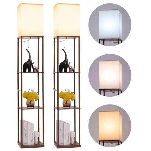 Floor Lamp with Shelves