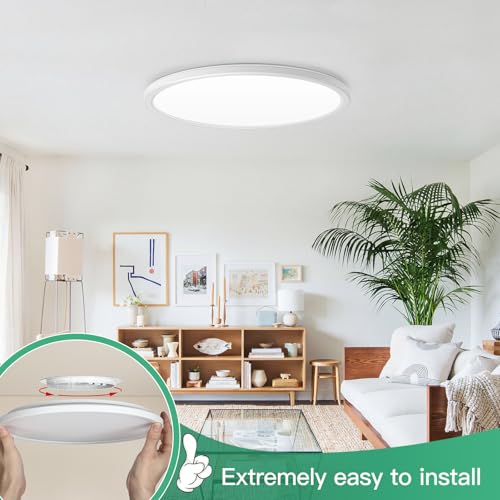 15 Inch Dimmable Large Flush Mount Ceiling Light Fixture