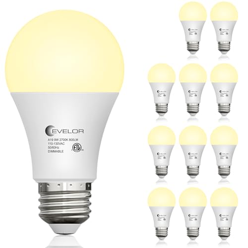 12 Packs A19 LED Light Bulbs (12 Count)