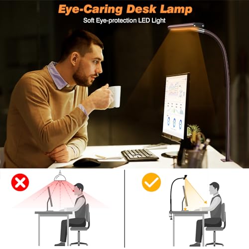 LED Desk Lamp with Clamp