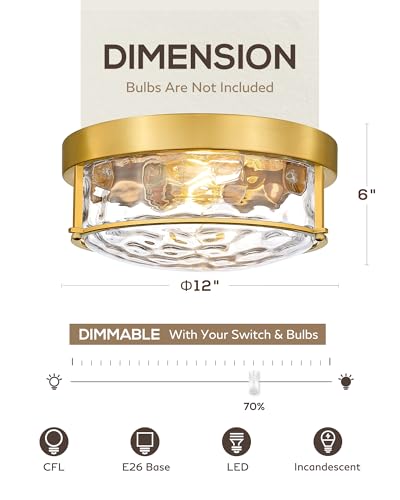 Modern Ceiling Light