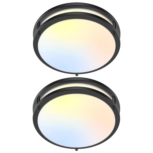 2 Pack 10 Inch Bathroom Light Fixtures Ceiling Mount (2 Count)
