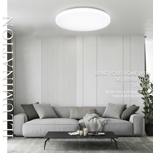 20 inch Ceiling Light Flush Mount 48W