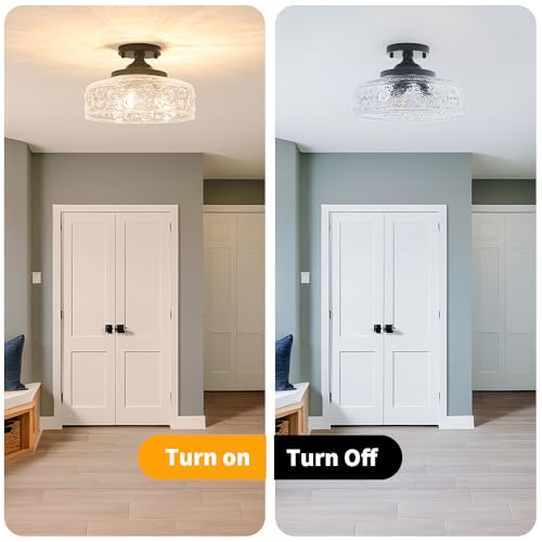 Semi Flush Mount Ceiling Light Fixture