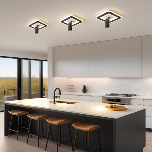 Modern LED Ceiling Lights with 1 spotlights 9.8Inch Black Ceiling Lights with Remote Control Dimmable