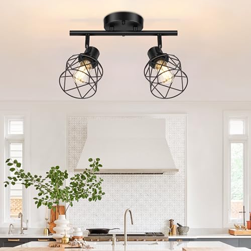 2 Lights Kitchen Light Fixtures Ceiling Mount