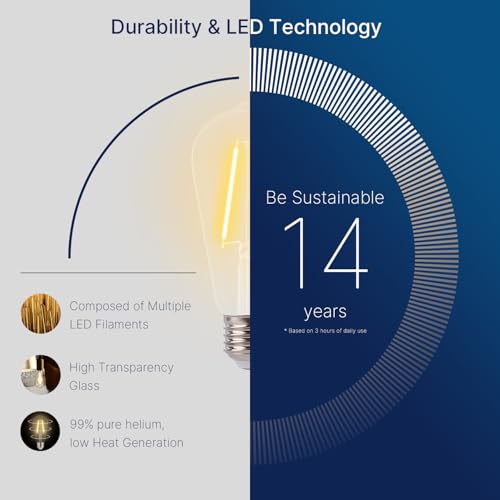 ST19 LED Edison Bulbs for String Lights (12 Count)