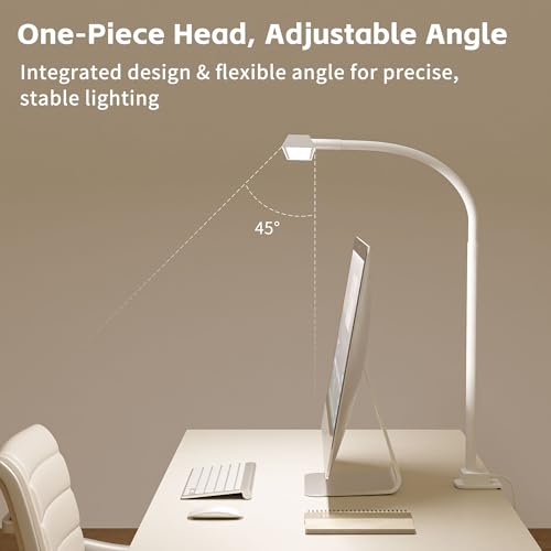 24W Desk Lamp with Clamp