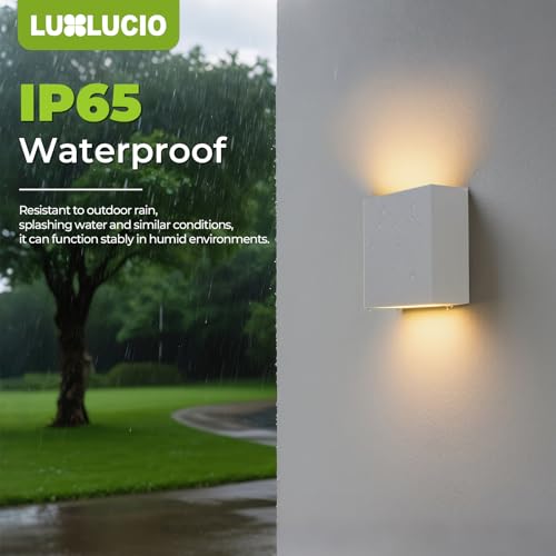 2 Pack Bright Silver Up and Down LED Wall Sconce (2 Count)