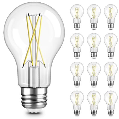 A19 LED Edison Light Bulb (12 Count)