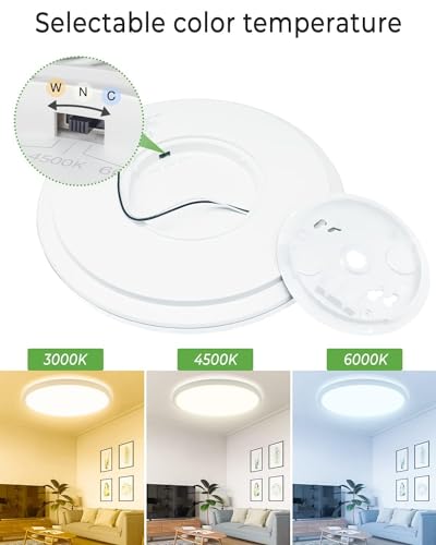 2Pack 16.5 Inch LED Ceiling Light Flush Mount (2 Count)