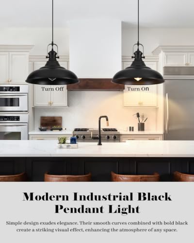 16 Inch Black Pendant Light