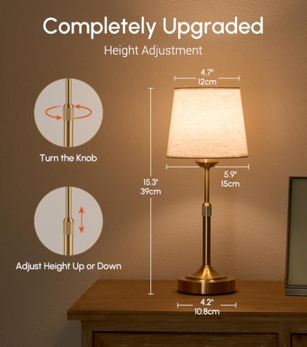 2 Pack Rechargeable Cordless Table Lamp (2 Count)