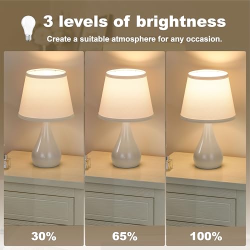 17.3'' Modern Touch Table Lamp Set of 2 with 3 Way Dimmable (2 Count)