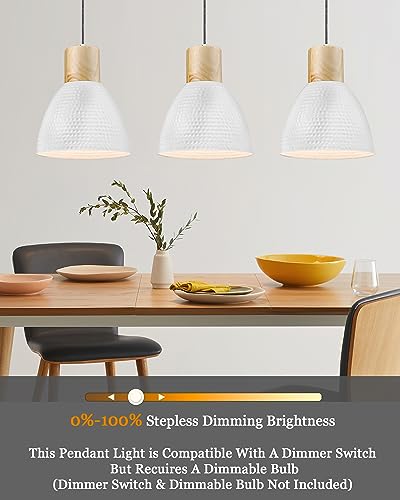 2 Pack Hammered Pendant Light Fixtures (2 Count)