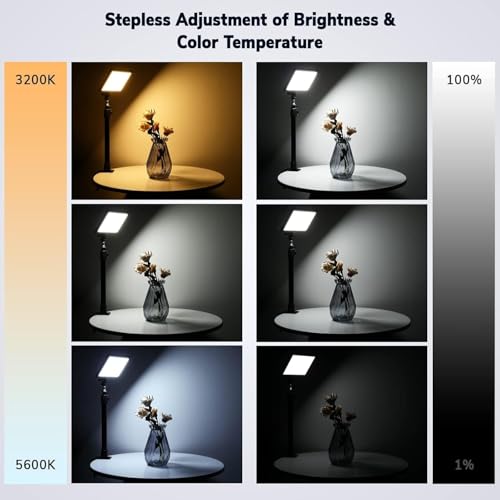 2Pack Streaming Key Light (2 Count)