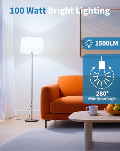 LED Light Bulbs (3 Count)