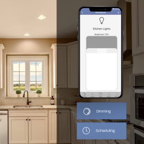 BR30 Smart Flood Light Bulb
